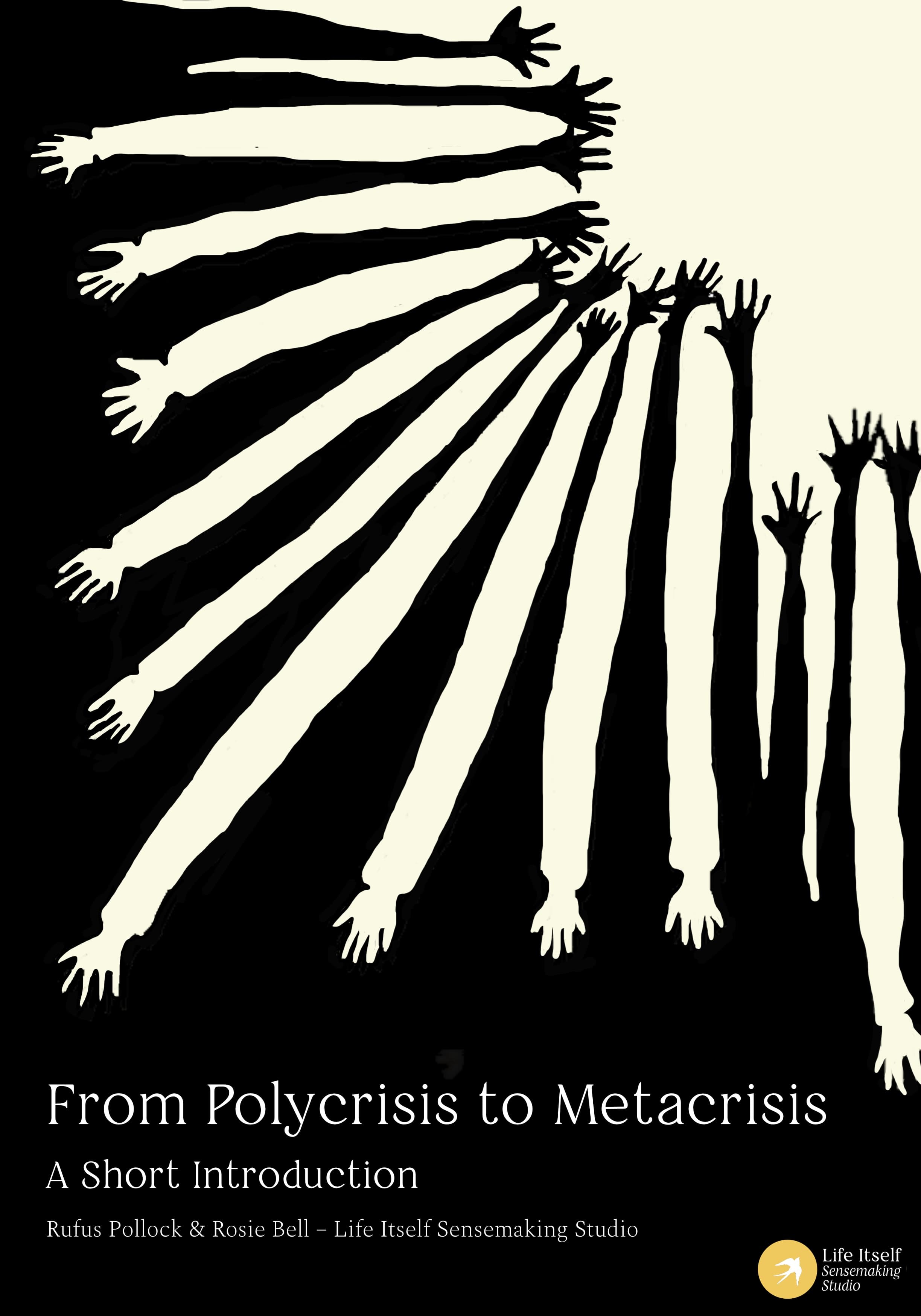 /assets/from-polycrisis-to-metacrisis-cover